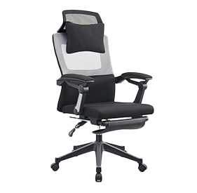 Shadow Ergonomic Chair