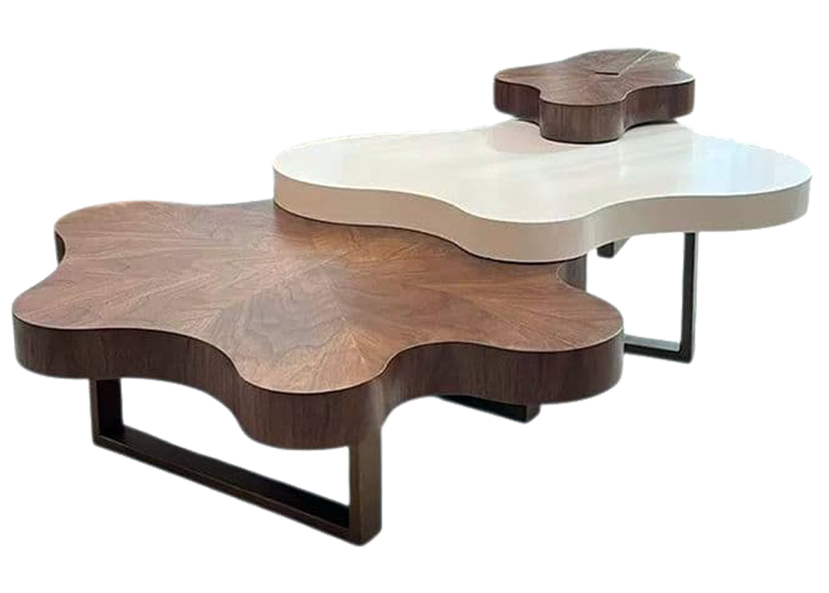 Irregular  Coffee Table